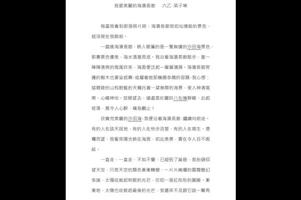  一件樂極生悲的事 六丁 趙安揚_13