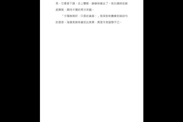  一件樂極生悲的事 六丁 趙安揚_14